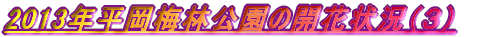 2007N1̏o